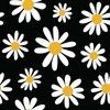 daisy_bloom1